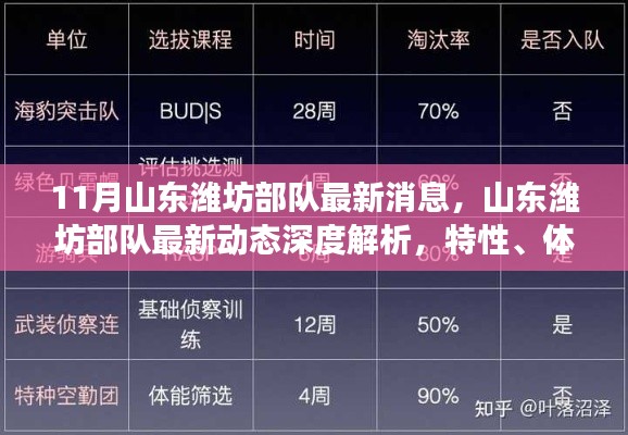 山东潍坊部队最新动态深度解析，特性、体验、竞争对比与用户群体分析报告