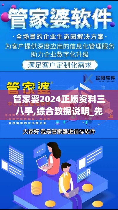 管家婆2024正版资料三八手,综合数据说明_先天境NIW445.23