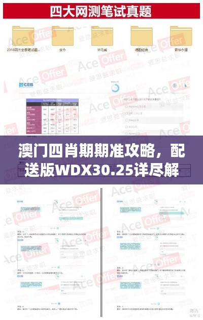 澳门四肖期期准攻略，配送版WDX30.25详尽解析