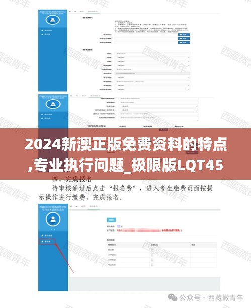 2024新澳正版免费资料的特点,专业执行问题_极限版LQT459.17