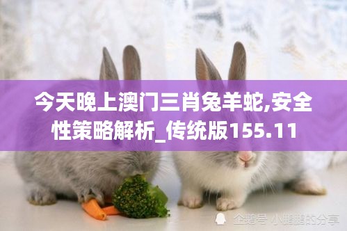 今天晚上澳门三肖兔羊蛇,安全性策略解析_传统版155.11