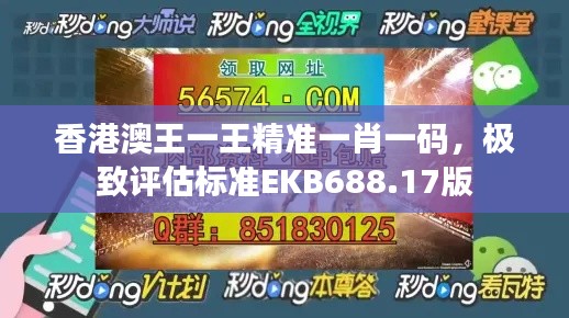 香港澳王一王精准一肖一码，极致评估标准EKB688.17版