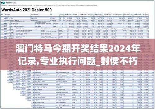 澳门特马今期开奖结果2024年记录,专业执行问题_封侯不朽NRW512.85