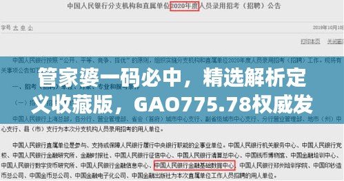 管家婆一码必中，精选解析定义收藏版，GAO775.78权威发布