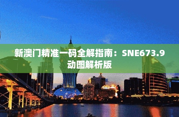 新澳门精准一码全解指南：SNE673.9动图解析版