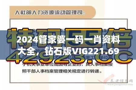 2024管家婆一码一肖资料大全，钻石版VIG221.69安全评估攻略