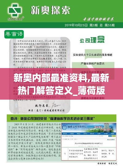 新奥内部最准资料,最新热门解答定义_薄荷版XMG398.13