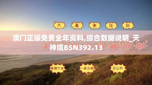 澳门正版免费全年资料,综合数据说明_天神境BSN392.13