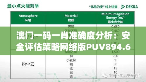 澳门一码一肖准确度分析：安全评估策略网络版PUV894.67评测