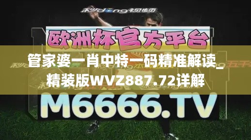 管家婆一肖中特一码精准解读_精装版WVZ887.72详解