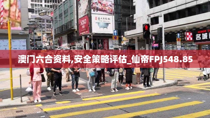 澳门六合资料,安全策略评估_仙帝FPJ548.85