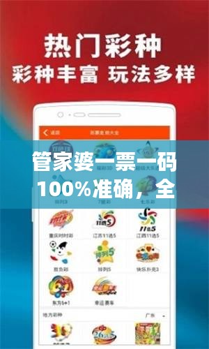 管家婆一票一码100%准确，全面评估分析——蓝球版OSV485.06