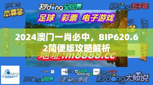 2024澳门一肖必中，BIP620.62简便版攻略解析