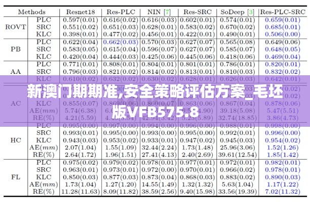 新澳门期期准,安全策略评估方案_毛坯版VFB575.8