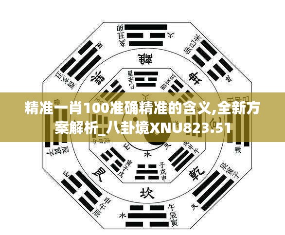 精准一肖100准确精准的含义,全新方案解析_八卦境XNU823.51