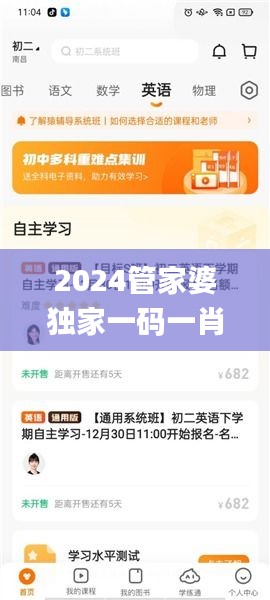 2024管家婆独家一码一肖，精准解决问题_速达版CEZ756.18