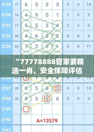 “77778888管家婆精选一肖，安全保障评估方案特版XVE726.41”