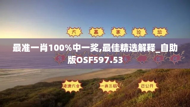 最准一肖100%中一奖,最佳精选解释_自助版OSF597.53