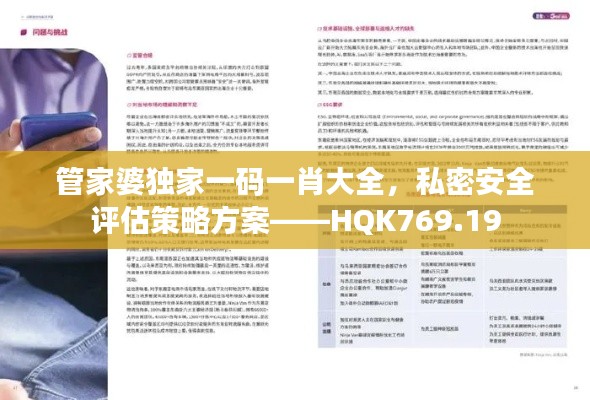 管家婆独家一码一肖大全，私密安全评估策略方案——HQK769.19