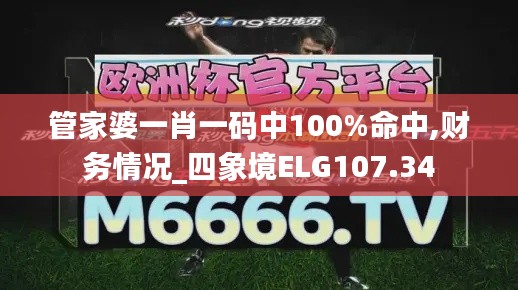 管家婆一肖一码中100%命中,财务情况_四象境ELG107.34