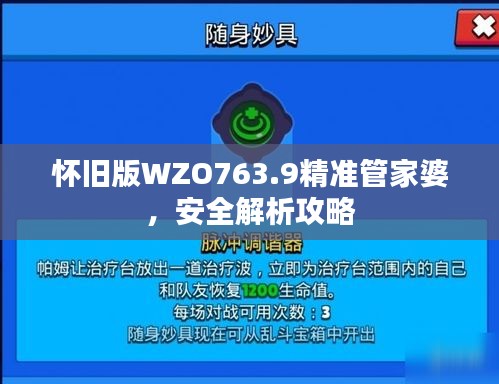 怀旧版WZO763.9精准管家婆，安全解析攻略