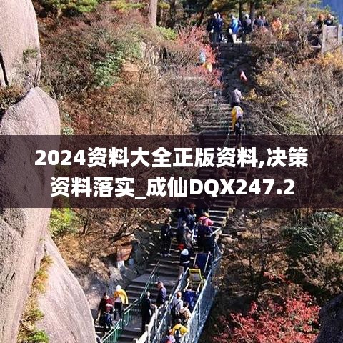 2024资料大全正版资料,决策资料落实_成仙DQX247.2