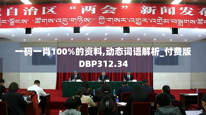 一码一肖100%的资料,动态词语解析_付费版DBP312.34