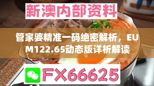 管家婆精准一码绝密解析，EUM122.65动态版详析解读