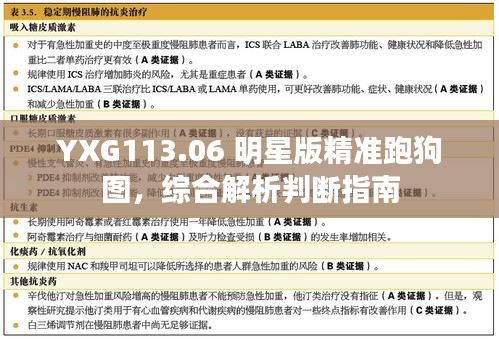 YXG113.06 明星版精准跑狗图，综合解析判断指南