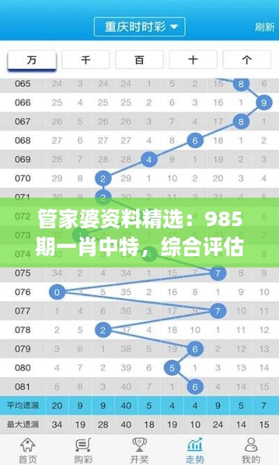 管家婆资料精选：985期一肖中特，综合评估标准特别版SJW174.33