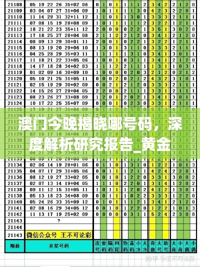 澳门今晚揭晓哪号码，深度解析研究报告_黄金版SPK625.36