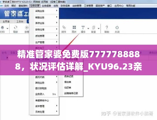 精准管家婆免费版7777788888，状况评估详解_KYU96.23亲和版