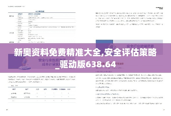 新奥资料免费精准大全,安全评估策略_驱动版638.64