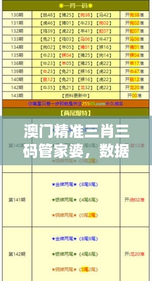 澳门精准三肖三码管家婆，数据解析版ZGC464.15高效版