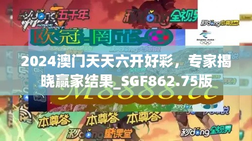 2024澳门天天六开好彩，专家揭晓赢家结果_SGF862.75版