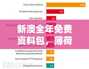 新澳全年免费资料包，薄荷版TVS838.02安全评估方案