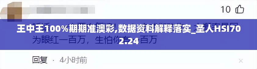 王中王100%期期准澳彩,数据资料解释落实_圣人HSI702.24