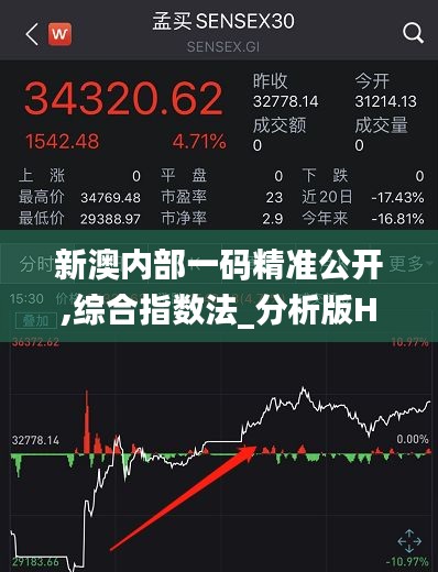 新澳内部一码精准公开,综合指数法_分析版HPZ91.12