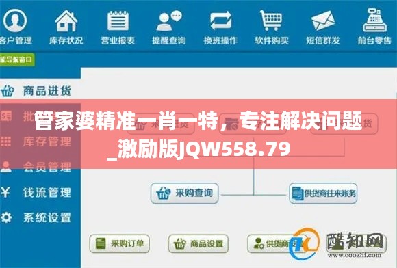 管家婆精准一肖一特，专注解决问题_激励版JQW558.79