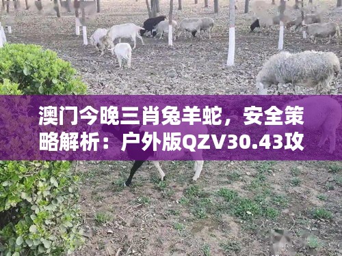 澳门今晚三肖兔羊蛇，安全策略解析：户外版QZV30.43攻略