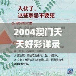 2004澳门天天好彩详录，安全解读攻略_试点版DUI505.66