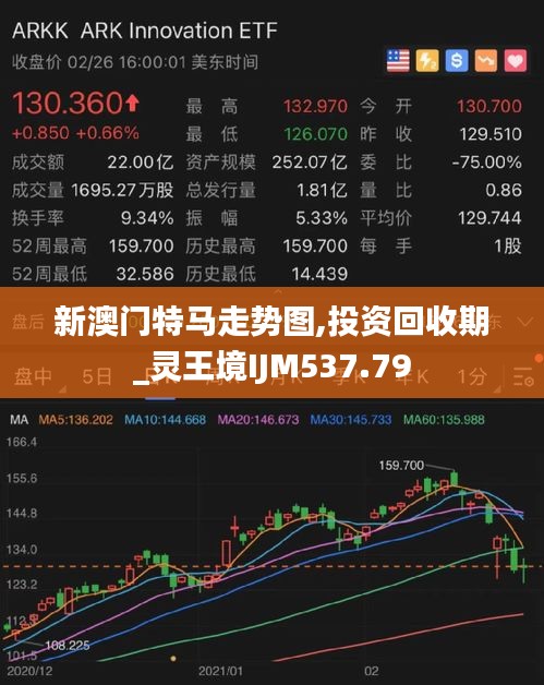 新澳门特马走势图,投资回收期_灵王境IJM537.79