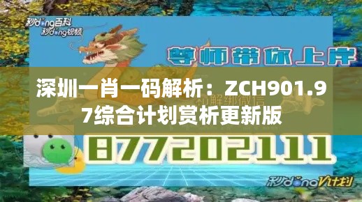 深圳一肖一码解析：ZCH901.97综合计划赏析更新版