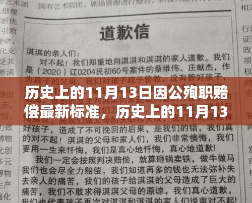 历史上的11月13日因公殉职赔偿最新标准解析与深度探讨