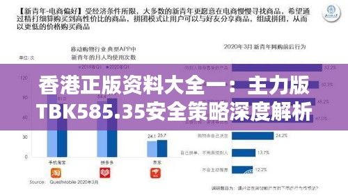 香港正版资料大全一：主力版TBK585.35安全策略深度解析