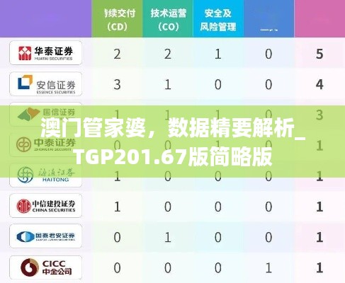 澳门管家婆，数据精要解析_TGP201.67版简略版