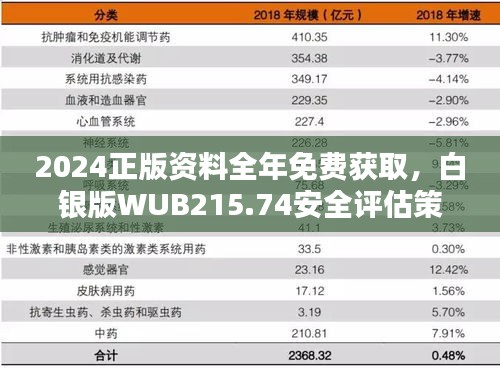 2024正版资料全年免费获取，白银版WUB215.74安全评估策略