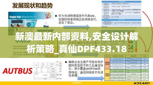 新澳最新内部资料,安全设计解析策略_真仙DPF433.18