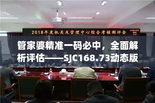 管家婆精准一码必中，全面解析评估——SJC168.73动态版