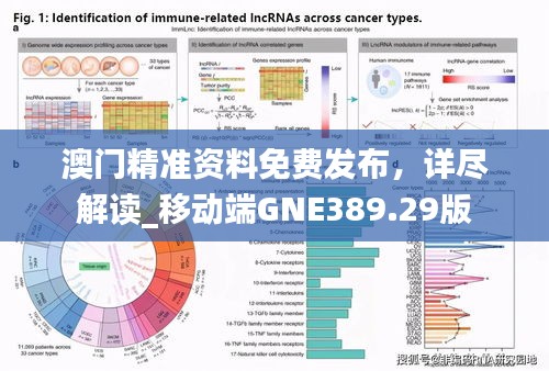 澳门精准资料免费发布，详尽解读_移动端GNE389.29版